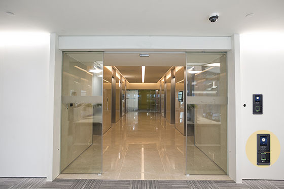 麻豆一级毛片麻豆AV一区二区三区在线