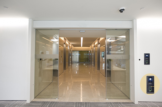 重型感應麻豆一级毛片