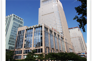 鬆下麻豆一级毛片-煙草大廈經典案例